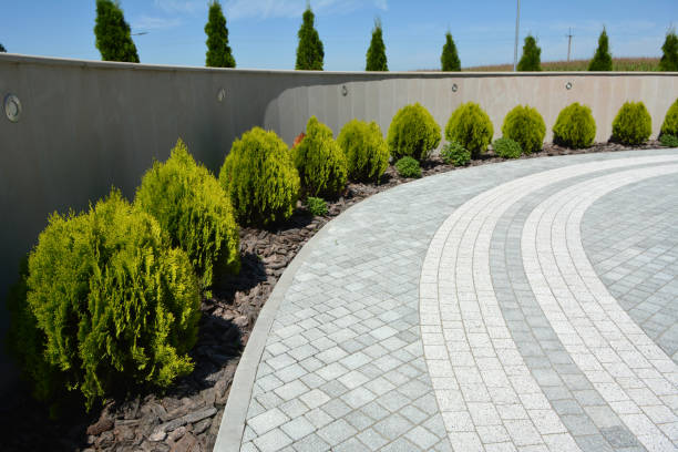 Best Concrete Paver Driveway  in Commerce, TX